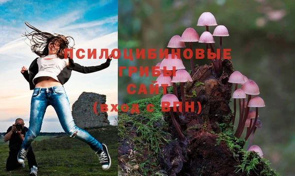 герыч Медногорск