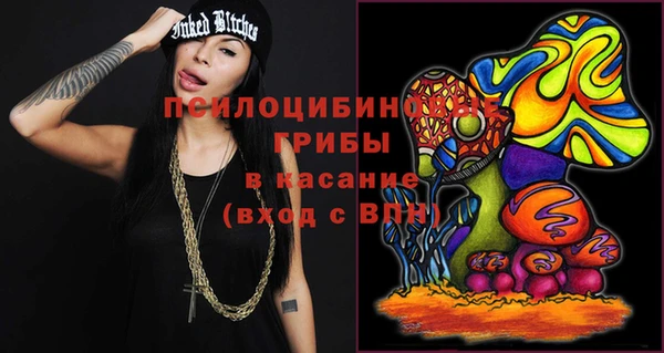мдпв Абинск