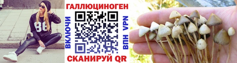 Галлюциногенные грибы Psilocybine cubensis  где найти наркотики  Серпухов 