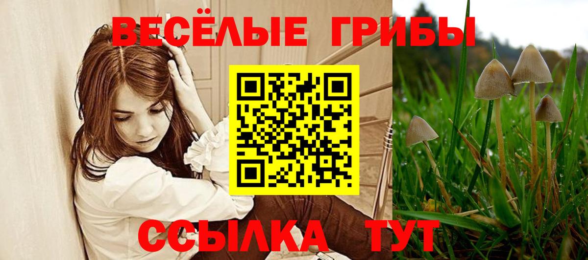 Псилоцибиновые грибы Magic Shrooms Серпухов